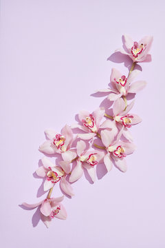 Greeting card with beautiful exotic flowers branch of violet orchids on a paster paper background. Flat lay.