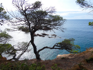Paisaje de la Costa Brava catalana, Espa&ntilde;a, con el mar azul, islas, aguas cristalinas, &aacute;rboles y acantilados