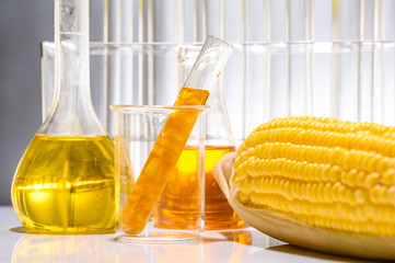Biofuel from corn, oil and biofuel solution.