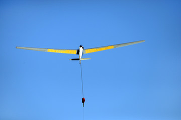 Bergfalke im Windenstart