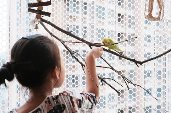 Asian children playing with a parrot on the balcony