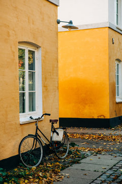 Bicycle In Autumn