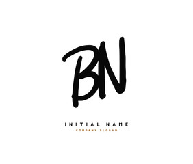 B N BN Beauty vector initial logo, handwriting logo of initial signature, wedding, fashion, jewerly, boutique, floral and botanical with creative template for any company or business.