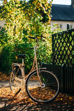 Bicycle In Autumn