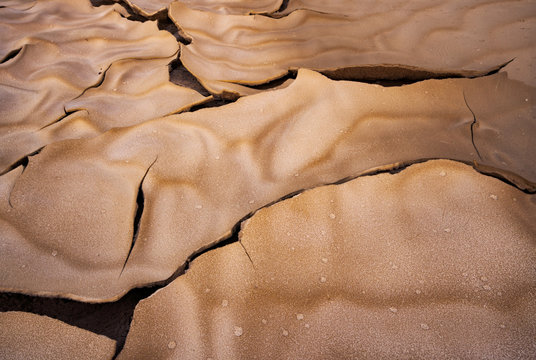 Detail Of Dry Ground On The Desert - Texture / Pattern