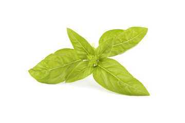 basil