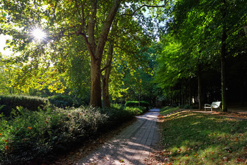Fototapeta premium parc of Bercy in Paris