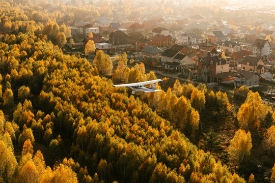 Beautiful autumnal city with flying plane above