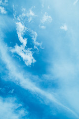 Fototapeta premium 夏の青い空と白い雲