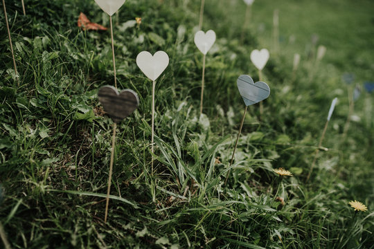 Small hearts on sticks amongst the grass