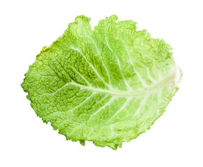 Fototapeta na wymiar back side of green leaf of savoy cabbage isolated