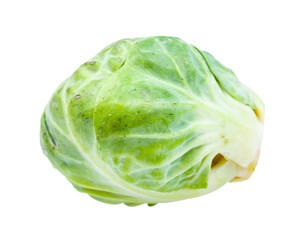 fresh brussels sprout isolated on white
