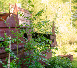 Part of the rusty iron ship - the rest of the industry of the Soviet Union in the wild forests of the tundra of Yakutia overgrown with trees.