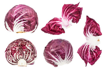 leaves and cabbageheads of red radicchio isolated