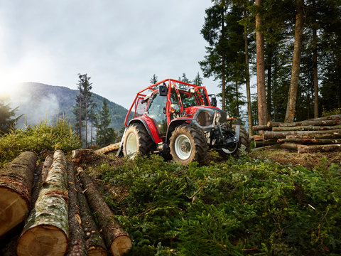Tractor tugging tree trunks in a forest, Kolsass, Tyrol, Austria