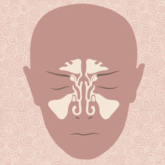 ENT laryngology - sinuses - view from the front- vector illustration