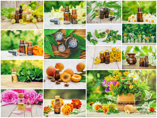 Collage of different pictures of extracts of herbs. Homeopathy. Selective focus.