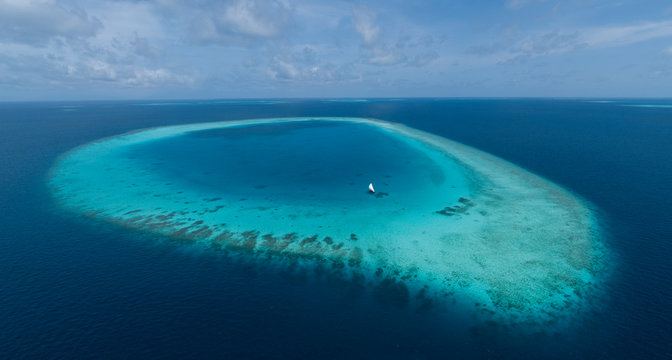 Great Reef
