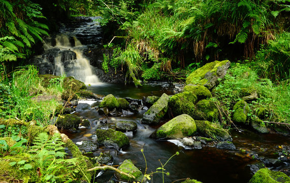 Hidden Waterfall and stream in Glenariff Forest Park, Antrim, Northern Ireland