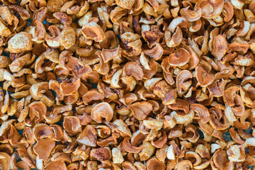 Dried fruits apples and pears scattered on the canvas as a background
