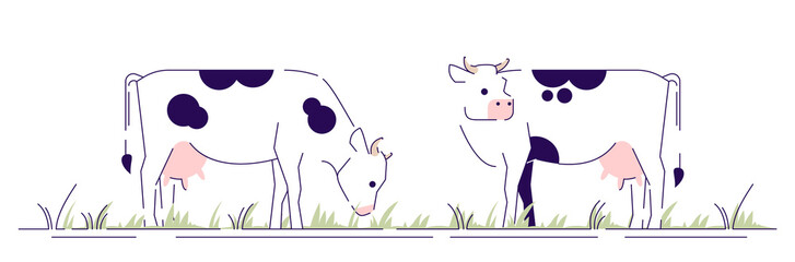 Cows on pasture flat vector illustration. Livestock, cattle farming, animal husbandry design element with outline. Dairy farm. Cartoon spotted cows grazing in field isolated on white background
