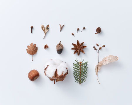 Set of dry leaves, acorn, cotton flower and anise on a gray background with copy space.Autumn pattern. Flat lay