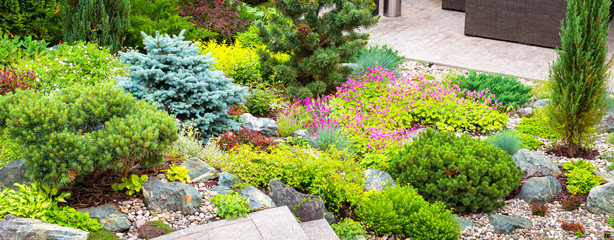 Landscape design in home garden. Landscaping with flowers, stones and plants. Beautiful view of landscaped yard or backyard. 