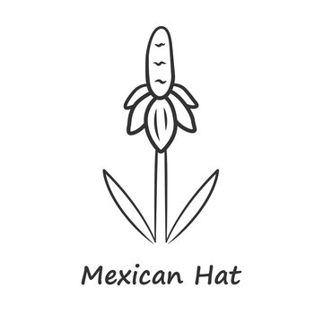 Mexican hat wild flower linear icon. Upright prairie coneflower with name. Ratibida columnifera plant inflorescence. Blooming wildflower. Thin line illustration. Vector isolated outline drawing
