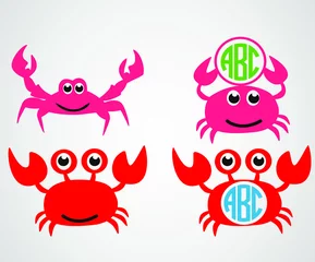 Fotobehang Cute crab set, crab monogram. vector. © Teymen