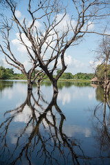 Obraz premium CAMBODIA BATTAMBANG WAT BANAN LANDSCAPE