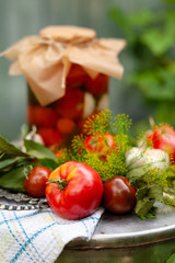 Big glass jars with ripe marinated homemade tomatoes and pickles. Autumn, harvest time. Fresh ingredients on metal vintage tray as decor. Green bush as background. Closeup. Russian dacha rustic style