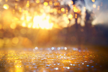 Abstract background of light burst among trees and glitter golden bokeh lights