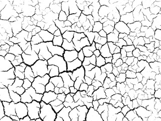 The cracks texture white and black. Vector background.Cracked earth. Structure of cracking. Cracks in dry surface soil texture.  
