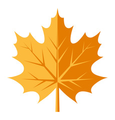 autumn maple leaf