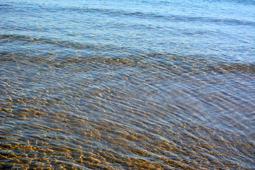 Physalis bouquet on a blue wooden background. Beautiful vintage rustic autumn look