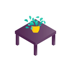 Isolated plant in the pot on coffee table