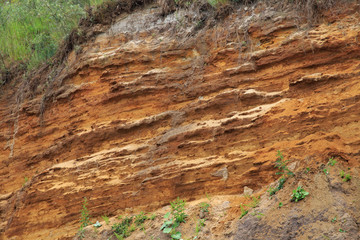 Texture of the clay-sand bluff wall.