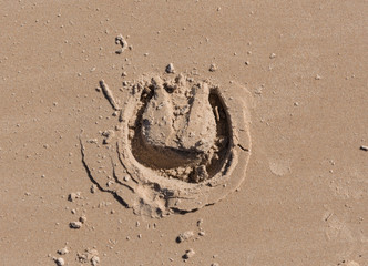 footprint in sand