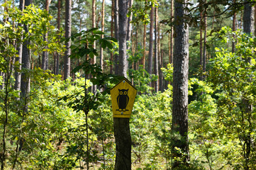 Hinweisschild Naturschutzgebiet im Wald