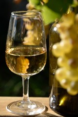 Verre de vin et vigne