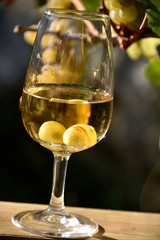 Verre de vin et vigne