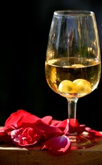 Verre de vin et vigne