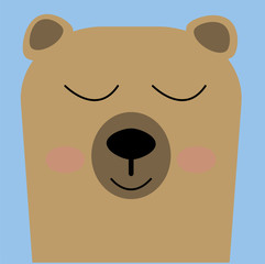 Brown bear is a solitary animal, except during the salmon spawning season, when a huge number of bears gather in streams and coastal areas to feed.