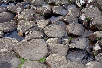 The Giant's Causeway, Northern-Ireland