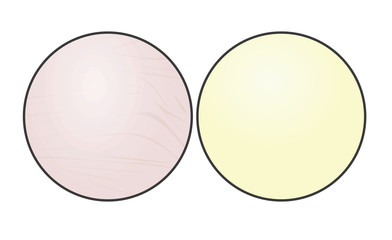 Silver reflector for photography. vector illustration