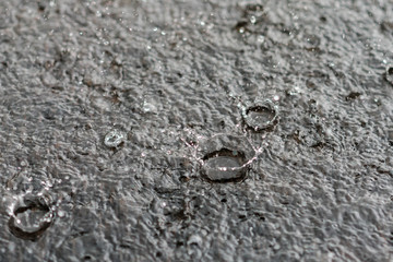 rain gray background. Drops on a puddle. close up