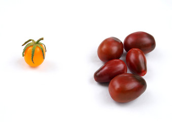 Several dark red tomatoes and one yellow on a white background