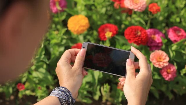 woman shoots a flower on a smartphone.