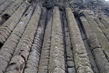 The Giant's Causeway, Northern-Ireland