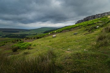 Fototapeta premium landscape with hills and blue sky